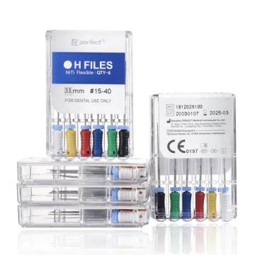 Ace H-Files otel 31mm 6buc D-PERFECT