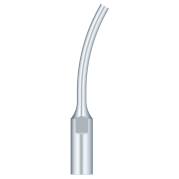 SKL Anse pt scaler G7