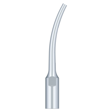 SKL Anse pt scaler G8-S