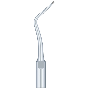 SKL Anse pt scaler SB2
