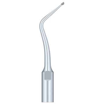 SKL Anse pt scaler SB3