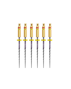 Ace Zenflex Ni-Ti .25/.04/21mm 6buc/cut 818-1256 KERR