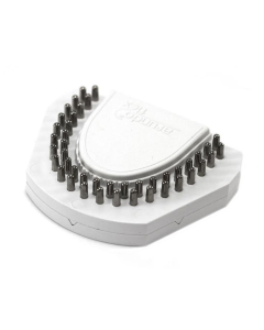 Arundo Placa Cu Pini + Magnet - Large BAUMANN
