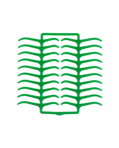 Ceara Cleme Molar Verde STD DENTAURUM