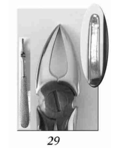 Cleste Extractie Radacini Dinti Frontali Superiori DG40-29 DENTECH