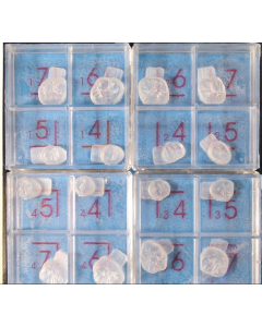 Set Cape Silicon Okklu-Flex DFS