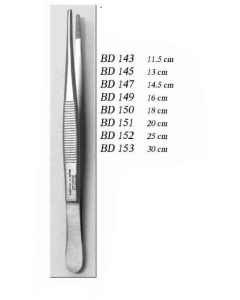 Pensa Anatomica BD151 DENTECH