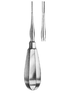 Elevator Apical 300-08 PIN