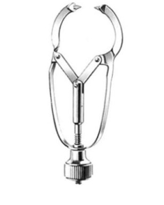 Portmatrice Ivory 800-61-05 PIN