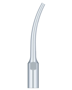 SKL Anse pt scaler G8-S