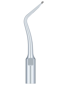 SKL Anse pt scaler SB2-S